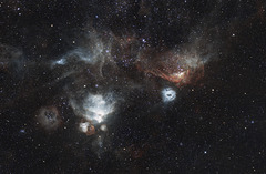 Dragon Head NGC2040 In Foraxx