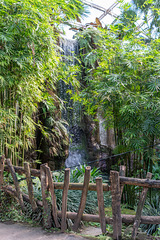 Wasserfall im Gondwanaland