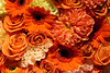 Orange!
