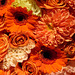 Orange!