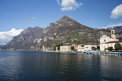 Marone-06