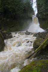 Racehorse Falls