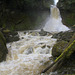 Racehorse Falls