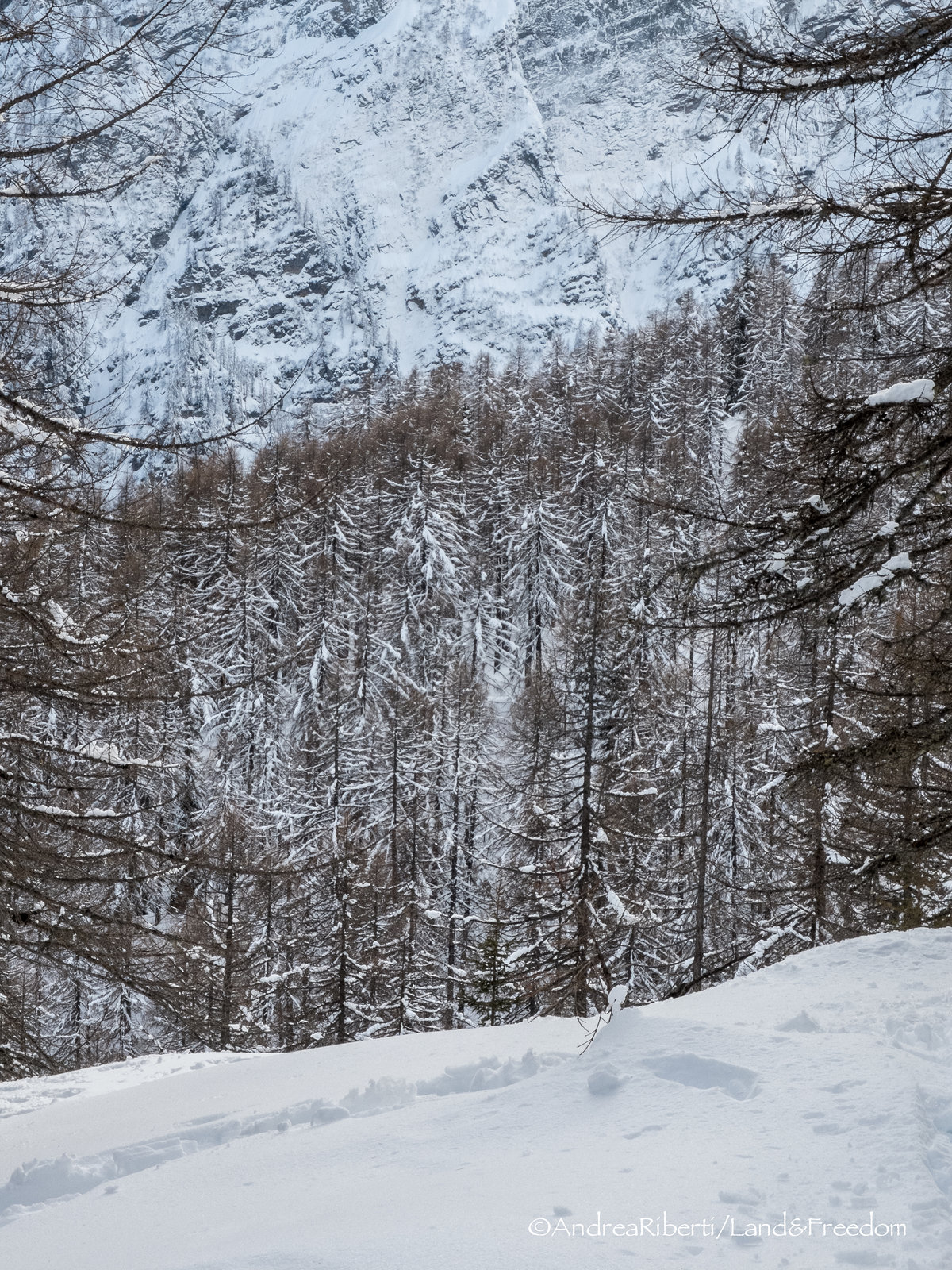 Alpe Quadrella, Swiss Alps