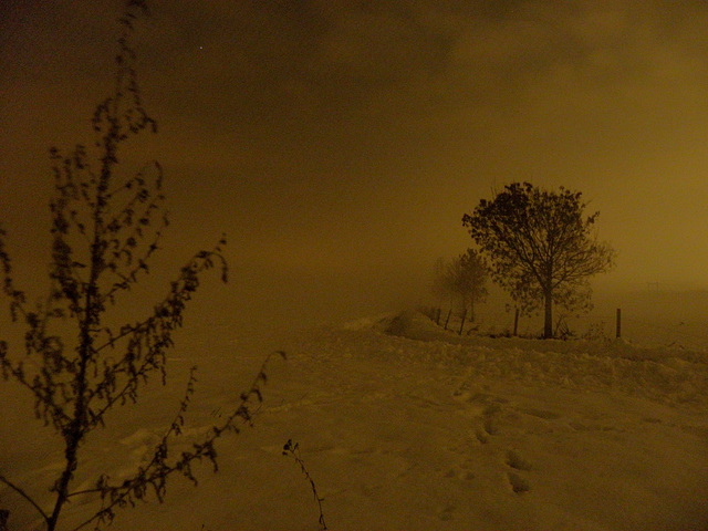 Winter night sphere