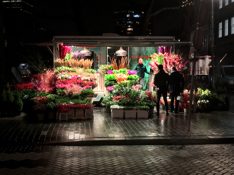Dutch Flowers