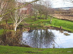 Reflections