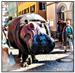 Staufen Stadtfest