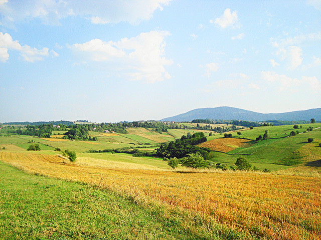 Summer landscapes