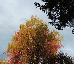 Mélange de couleurs