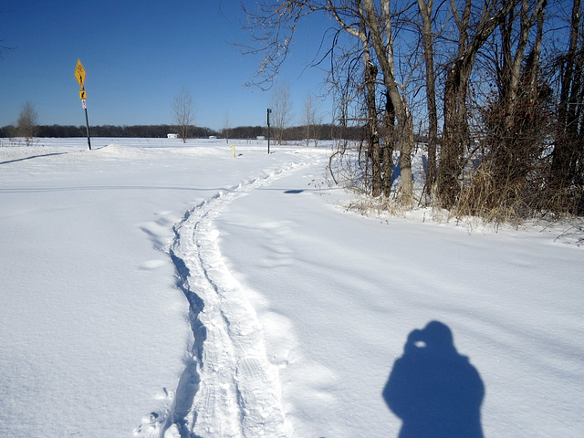 Finally, the snowstorm is gone.