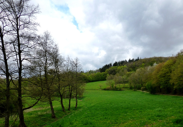 Auf dem Wanderweg Nr. 10