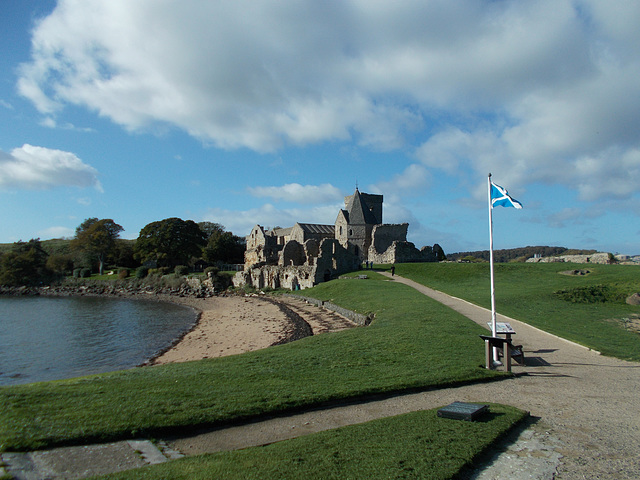 tbi - Saltire