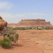 Cave Spring Trail, Canyonlands