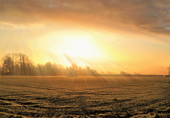Sunrise over Eckington