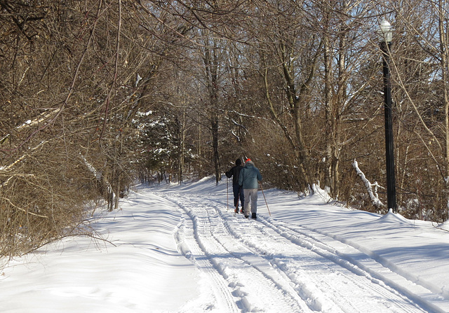 The Polly Ann Trail this morning