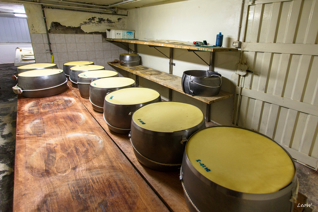 Regionale Parmesan-Produktion
