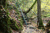 Ehrbachklamm & Schöneckschleife 002