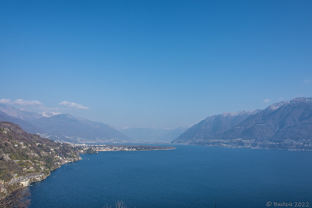 Aussicht von Ronco sopra Ascona über den Lago Maggiore in Richtung Ascona und Locarno (© Buelipix)