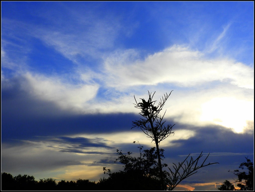 Between showers