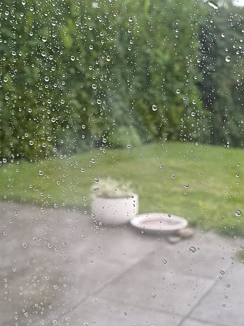 endlich Regen