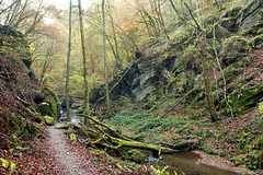 Ehrbachklamm & Schöneckschleife 010