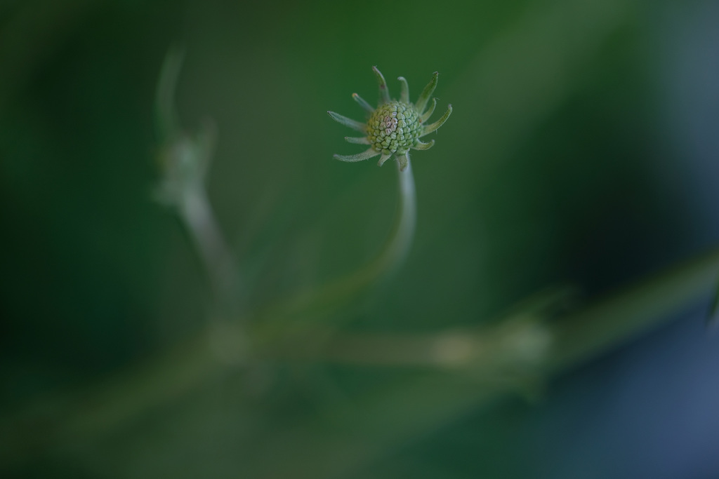 DSCF1057