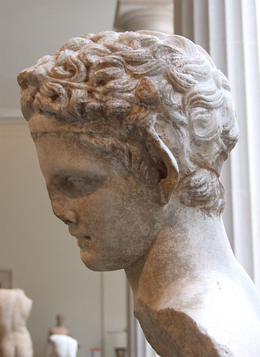 Detail of the Head and Back of a Marble Satyr in the Metropolitan Museum of Art, May 2012