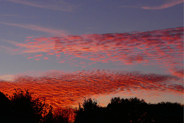 Abendhimmel: kuschelige Wolkendecke