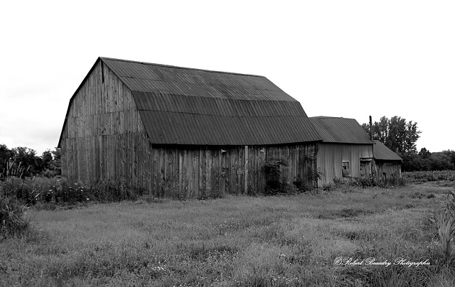 Vieille grange