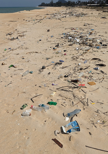 Plage méprisée / Spiaggia disprezzata