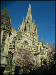 St Mary's in spring