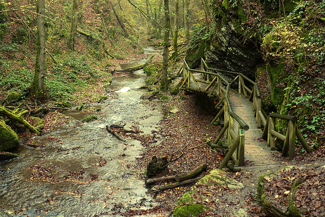 Ehrbachklamm & Schöneckschleife 013