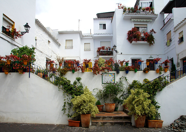 HFF - Torrox
