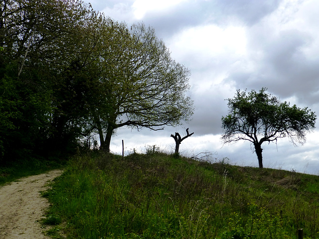 Auf dem Wanderweg Nr. 10