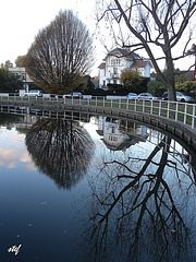 white house close to the lake