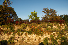 Natursteinmauer im Kurpark von Bad Frankenhausen