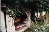 west norwood cemetery, london