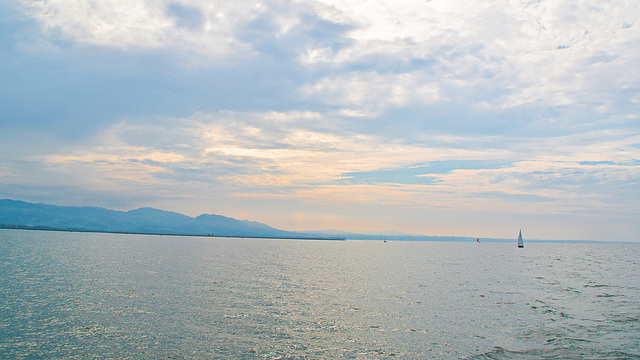 Bodensee - Schweizer Ufer und Vorarlberger Berge