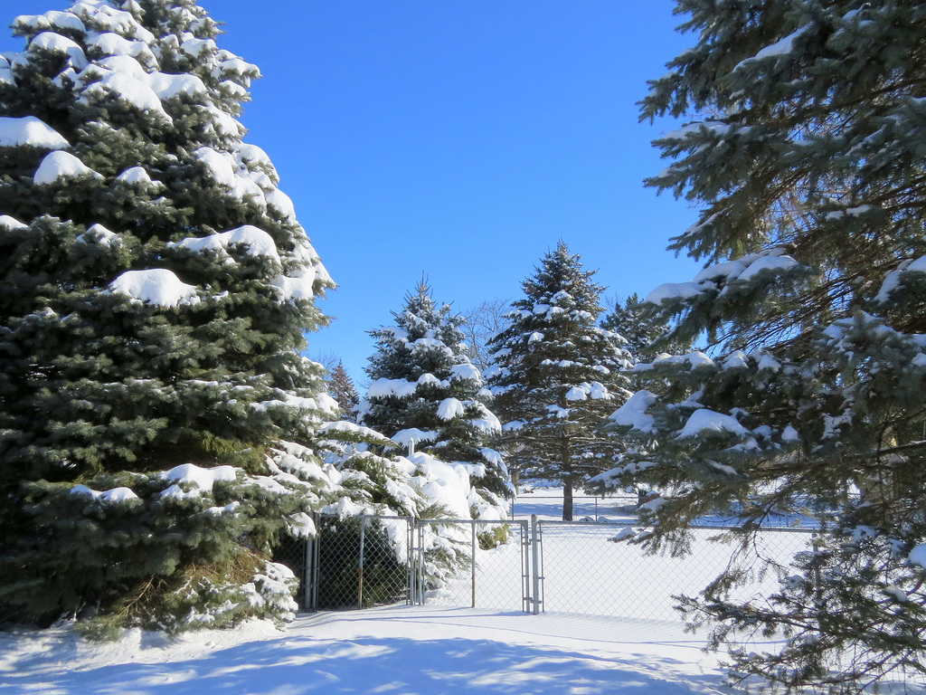 Our neighborhood