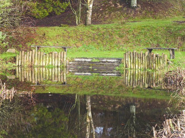 Reflections: Dock entirely under water!