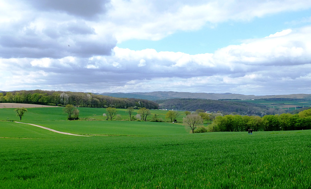 Auf dem Wanderweg Nr. 10