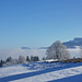 DSC01685