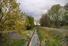 Der Schwarzbach am Landschaftspark Mechtenberg (Gelsenkirchen-Rotthausen) / 14.04.2022