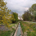 Der Schwarzbach am Landschaftspark Mechtenberg (Gelsenkirchen-Rotthausen) / 14.04.2022