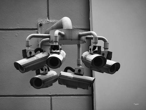 (Sp)Eyes