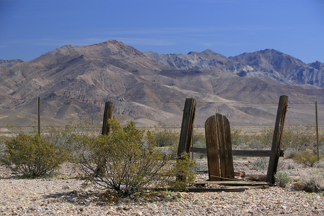 Rhyolite Cemetery