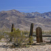 Rhyolite Cemetery