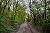 Weg im Landschaftspark Mechtenberg (Gelsenkirchen-Rotthausen) / 14.04.2022