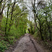 Weg im Landschaftspark Mechtenberg (Gelsenkirchen-Rotthausen) / 14.04.2022